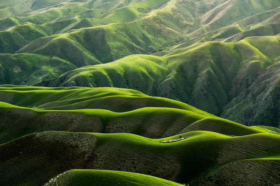 Rolling green hills standing in for the Aldan highlands